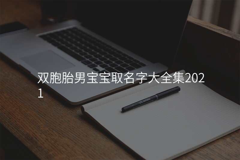 双胞胎男宝宝取名字大全集2021