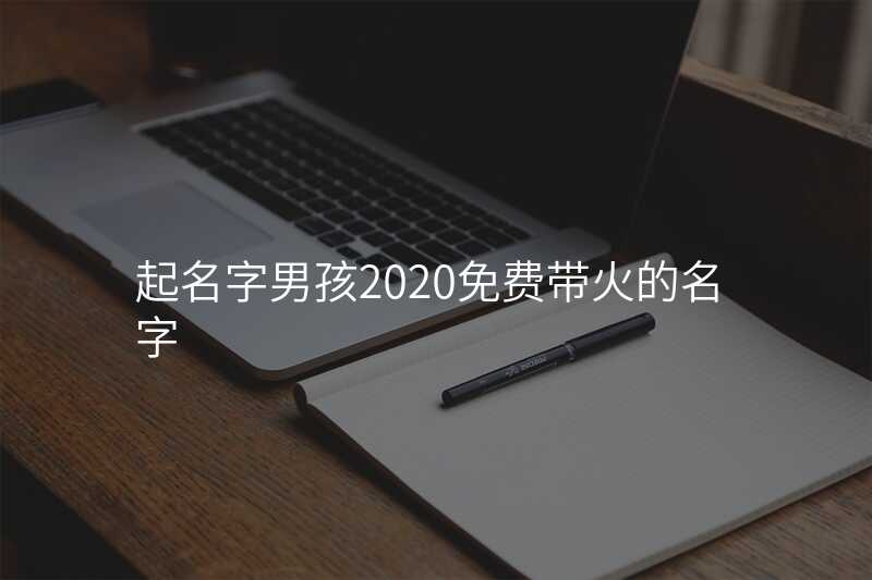 起名字男孩2020免费带火的名字