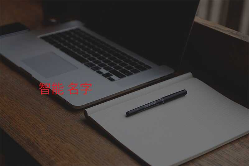 智能 名字