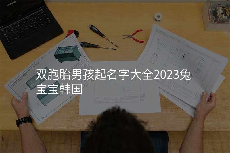 双胞胎男孩起名字大全2023兔宝宝韩国