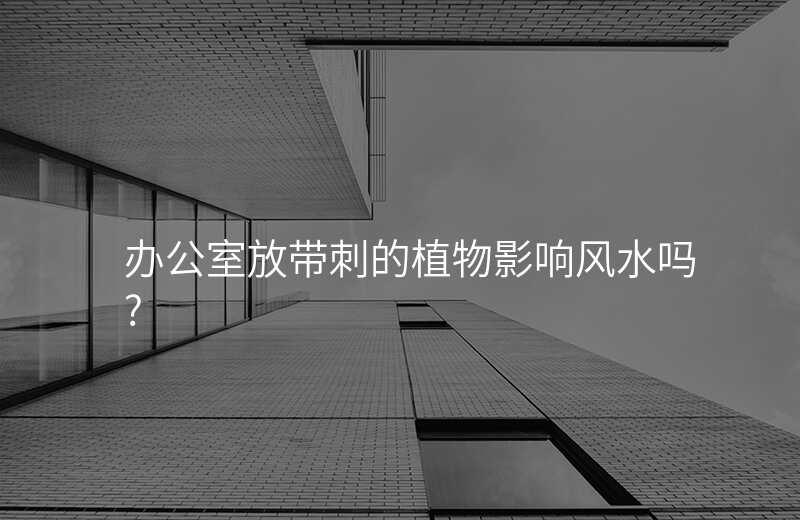 办公室放带刺的植物影响风水吗?