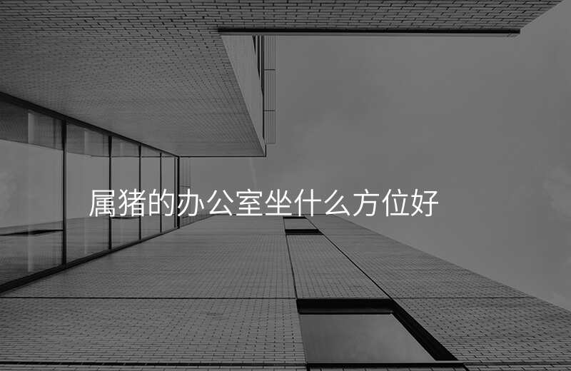 属猪的办公室坐什么方位好