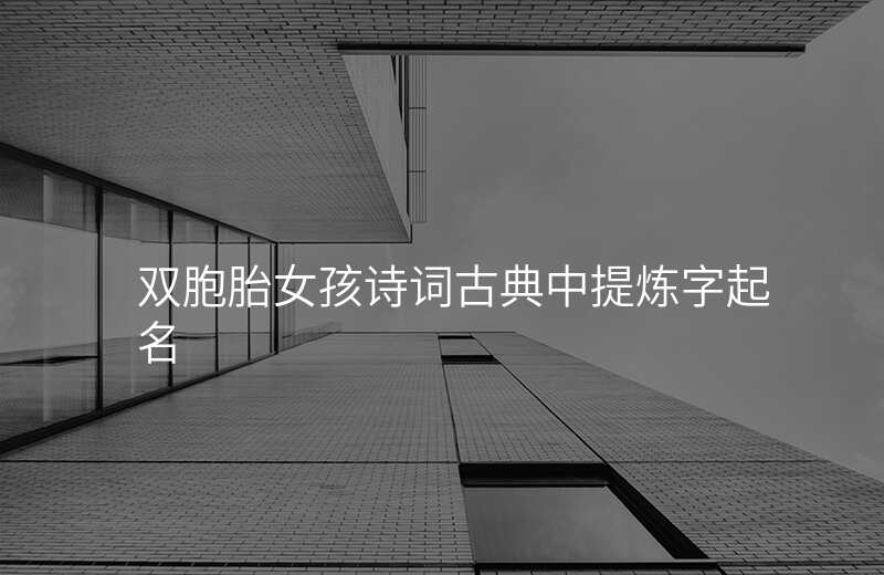 双胞胎女孩诗词古典中提炼字起名