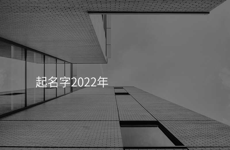 起名字2022年