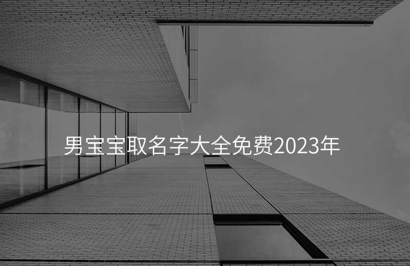 男宝宝取名字大全免费2023年