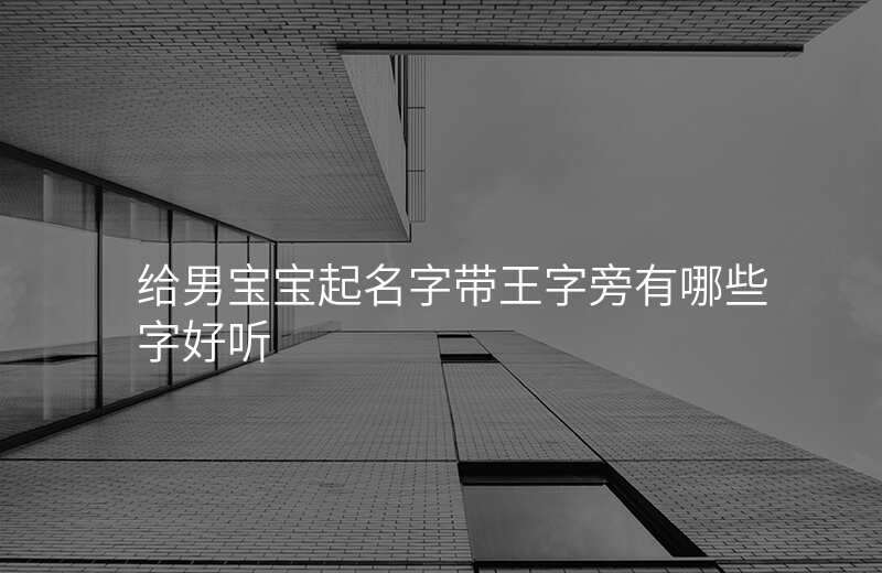 给男宝宝起名字带王字旁有哪些字好听