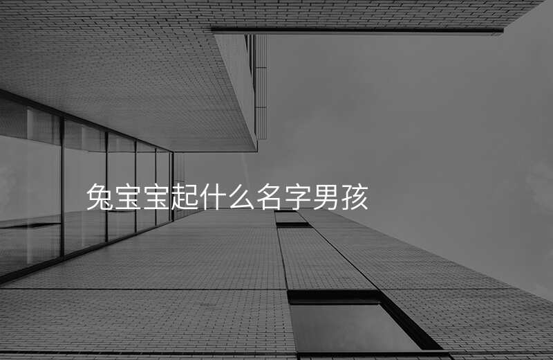 兔宝宝起什么名字男孩