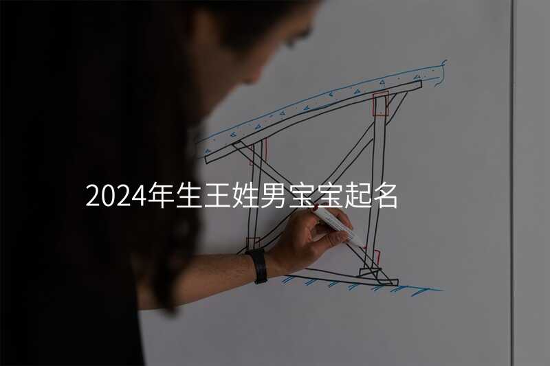 2024年生王姓男宝宝起名