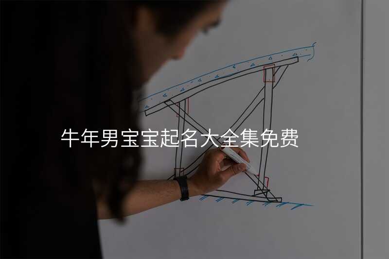 牛年男宝宝起名大全集免费