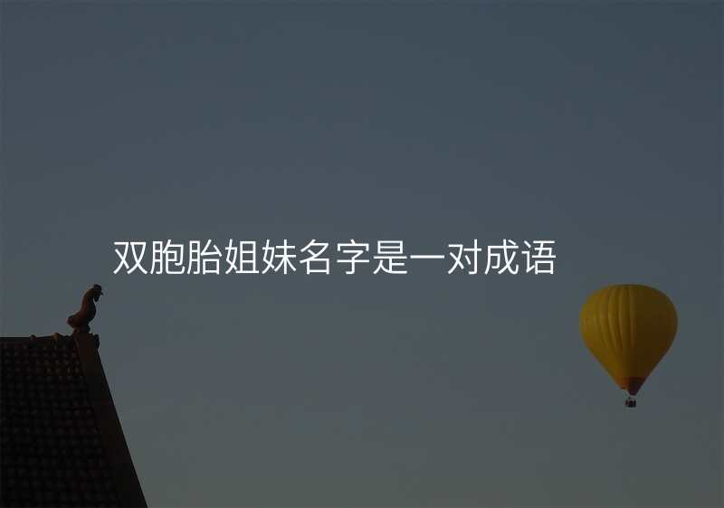 双胞胎姐妹名字是一对成语