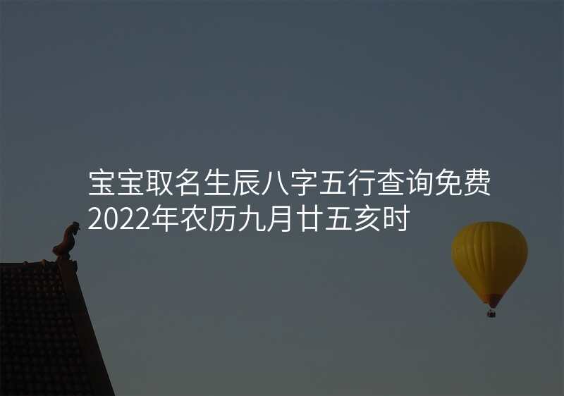 宝宝取名生辰八字五行查询免费2022年农历九月廿五亥时