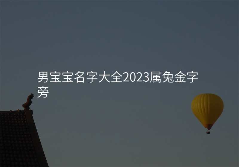 男宝宝名字大全2023属兔金字旁