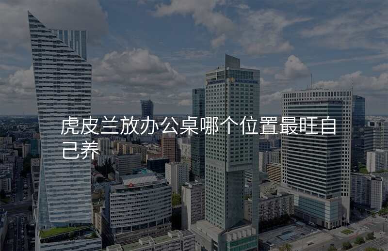 虎皮兰放办公桌哪个位置最旺自己养