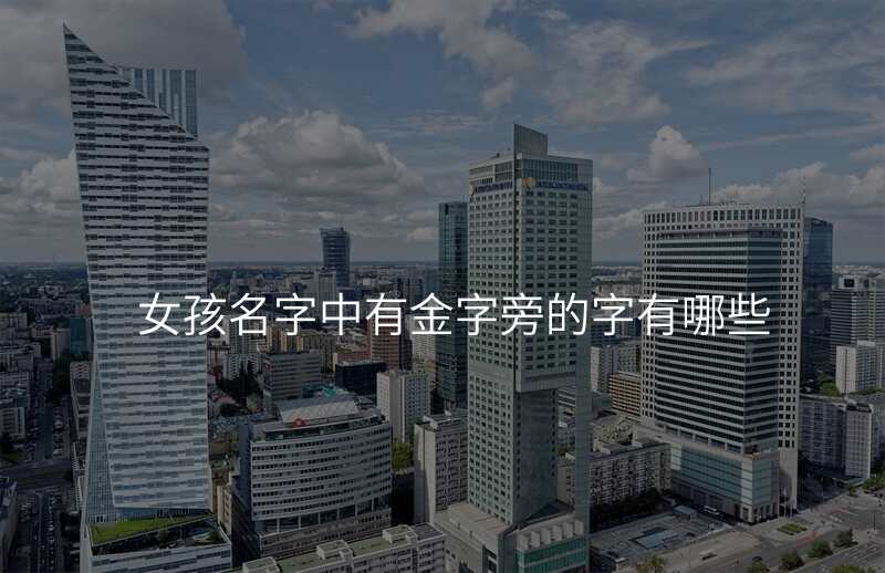 女孩名字中有金字旁的字有哪些