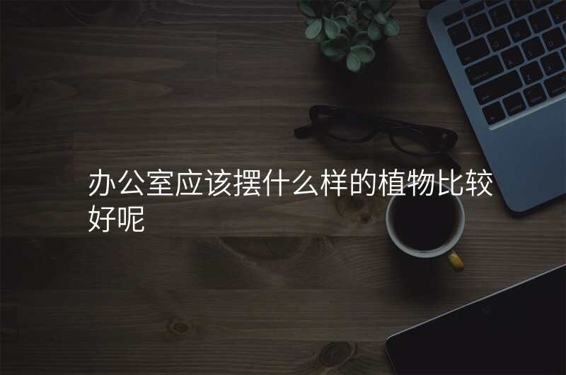 办公室应该摆什么样的植物比较好呢
