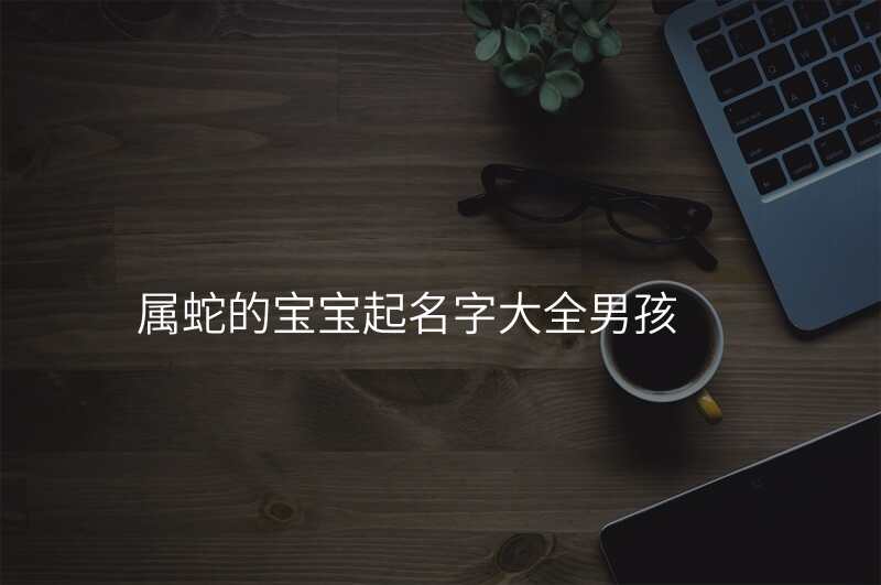 属蛇的宝宝起名字大全男孩