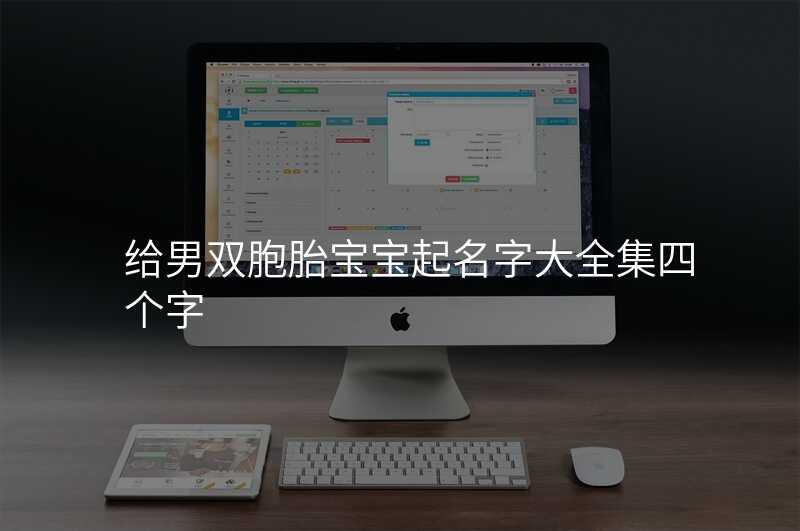 给男双胞胎宝宝起名字大全集四个字