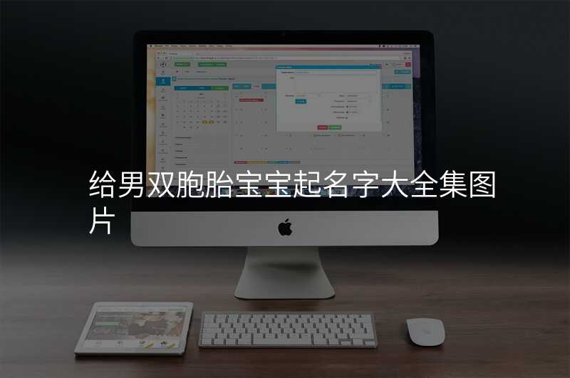 给男双胞胎宝宝起名字大全集图片
