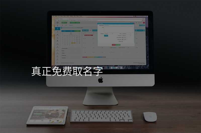 真正免费取名字