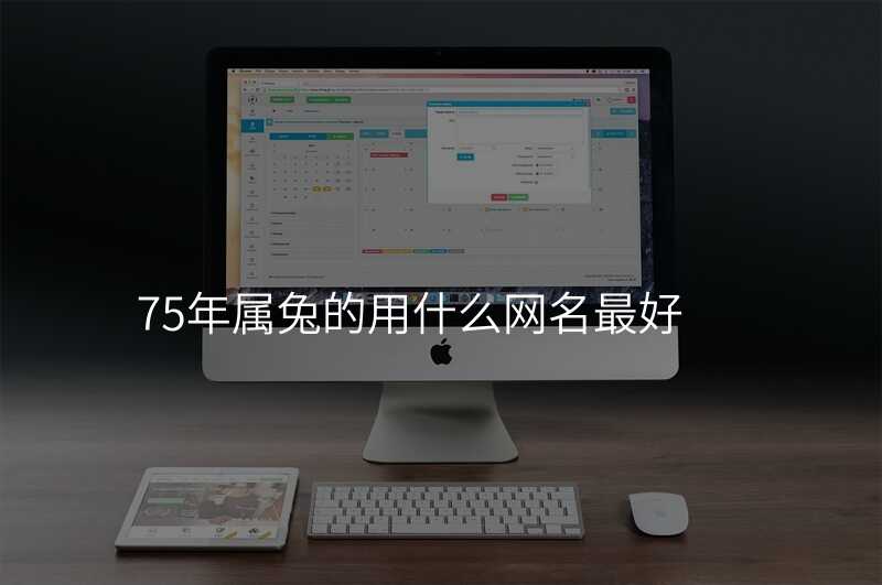 75年属兔的用什么网名最好