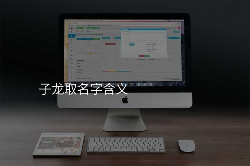 子龙取名字含义