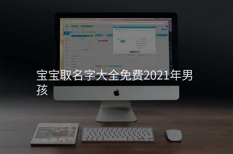 宝宝取名字大全免费2021年男孩