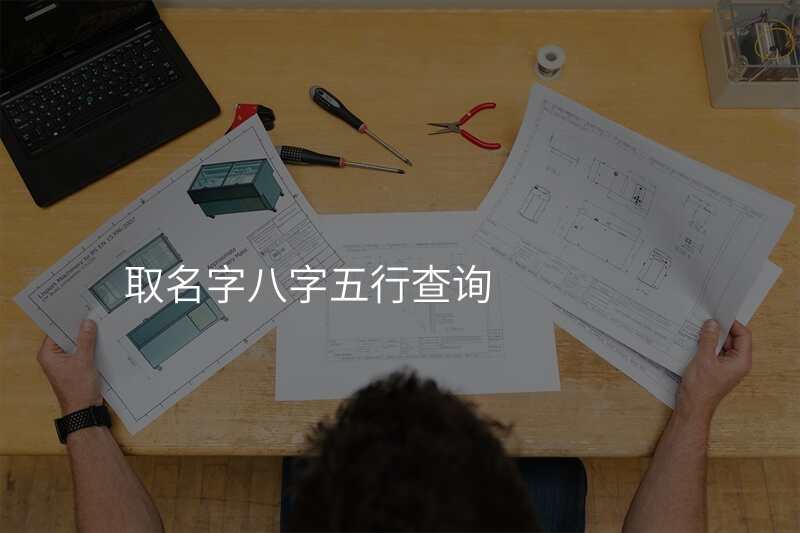 取名字八字五行查询