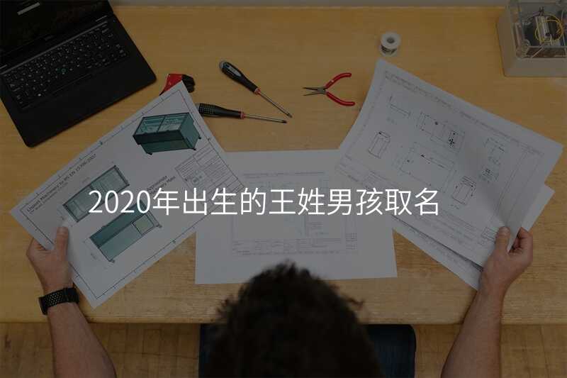 2020年出生的王姓男孩取名