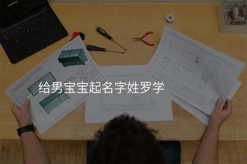 给男宝宝起名字姓罗学