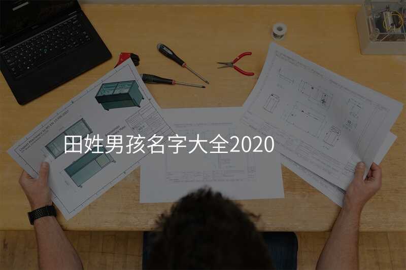 田姓男孩名字大全2020