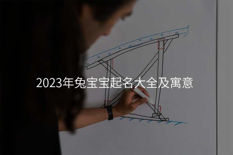 2023年兔宝宝起名大全及寓意
