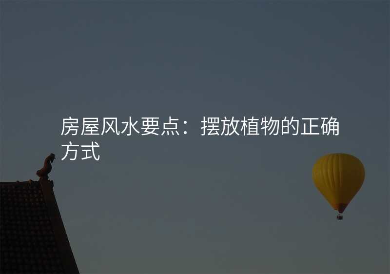 房屋风水要点:摆放植物的正确方式