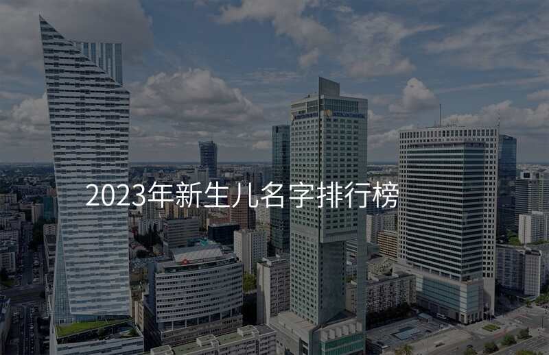 2023年新生儿名字排行榜