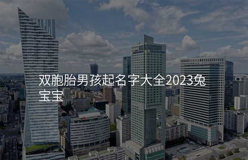双胞胎男孩起名字大全2023兔宝宝