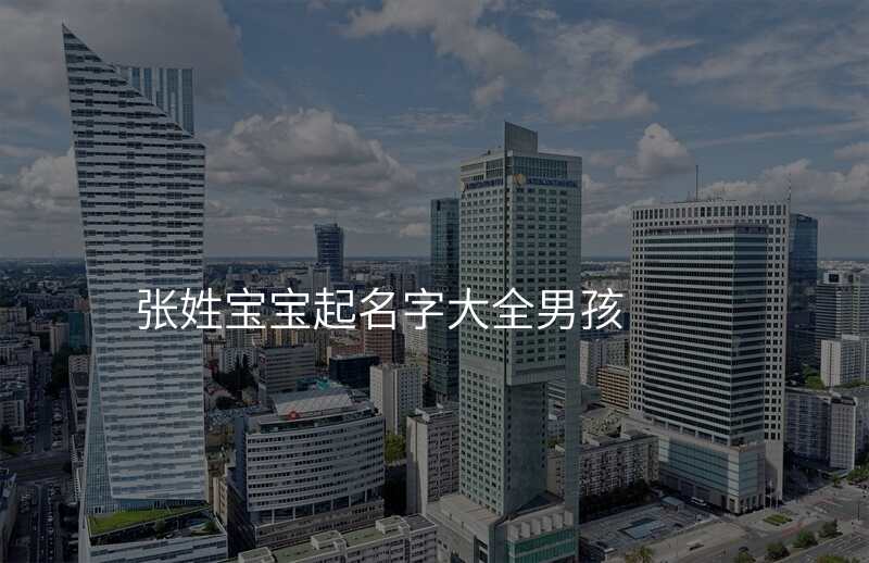 张姓宝宝起名字大全男孩