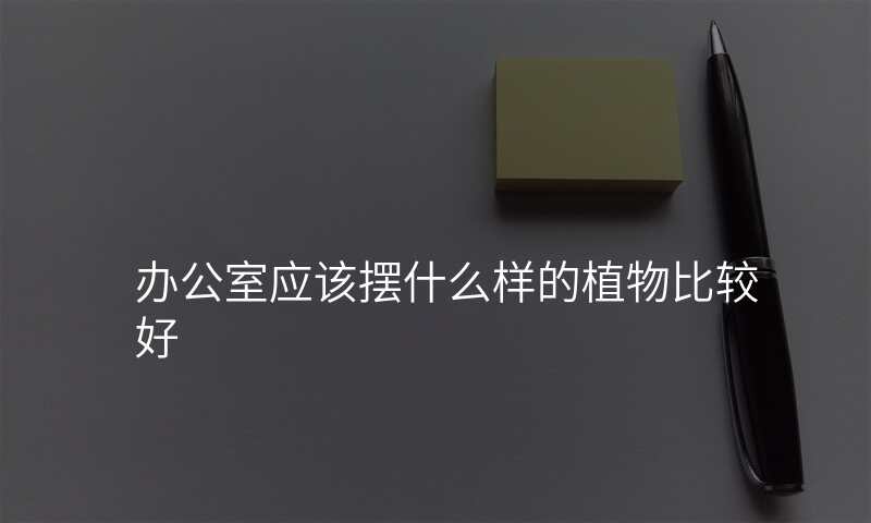 办公室应该摆什么样的植物比较好