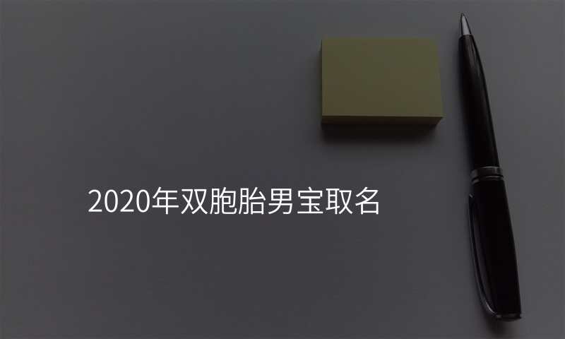 2020年双胞胎男宝取名
