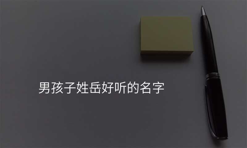 男孩子姓岳好听的名字
