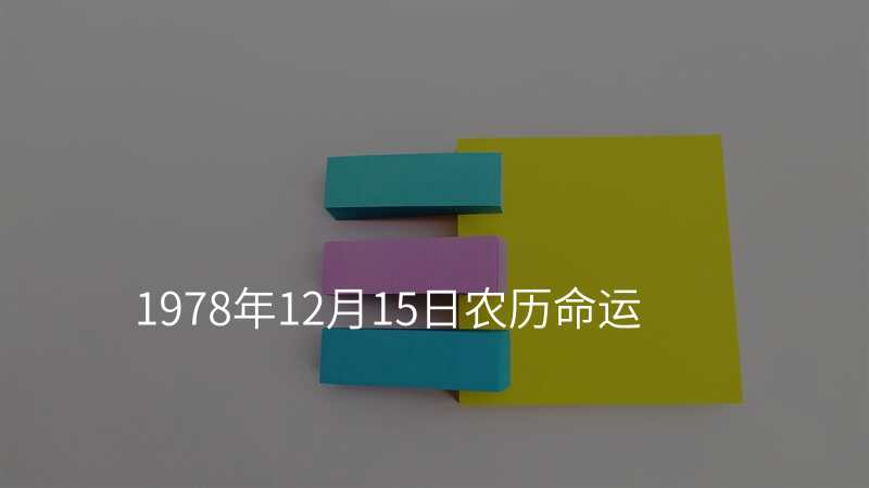1978年12月15日农历命运