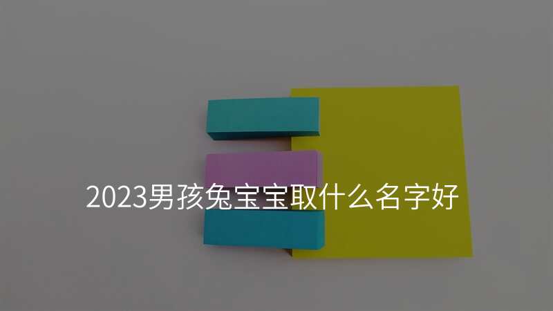 2023男孩兔宝宝取什么名字好