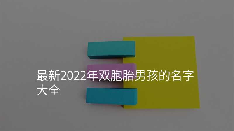 最新2022年双胞胎男孩的名字大全