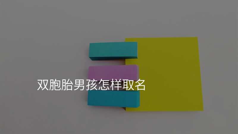 双胞胎男孩怎样取名