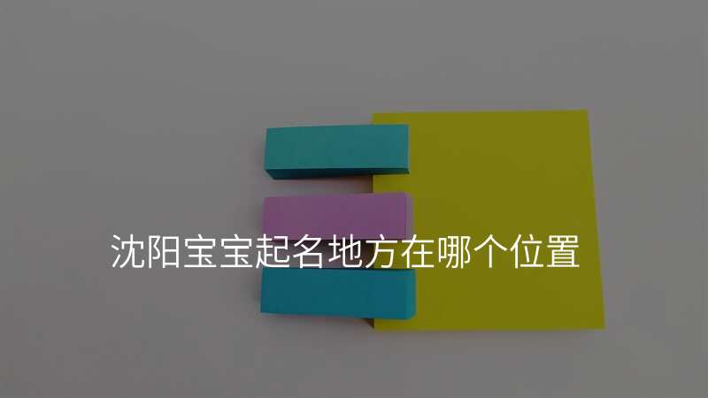 沈阳宝宝起名地方在哪个位置
