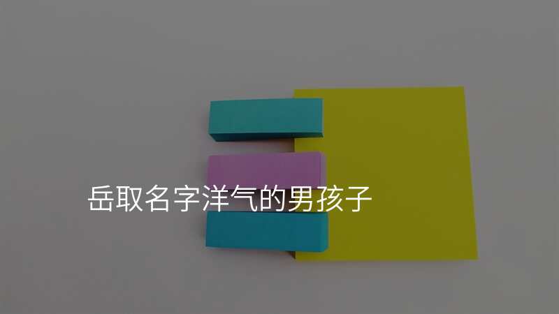 岳取名字洋气的男孩子