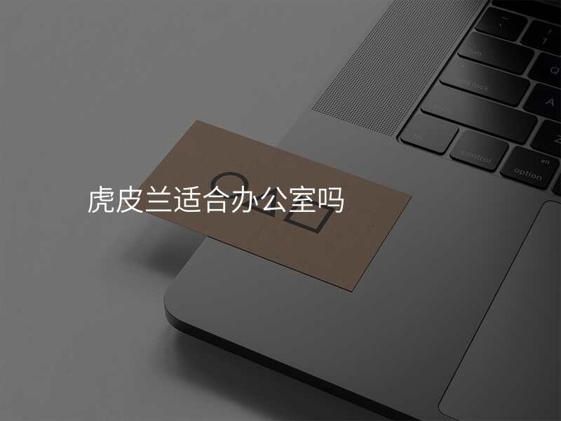 虎皮兰适合办公室吗