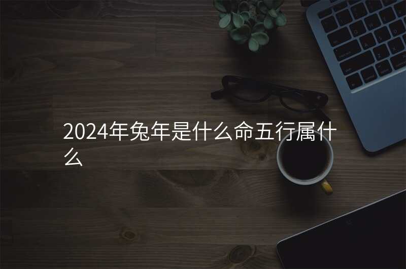 2024年兔年是什么命五行属什么