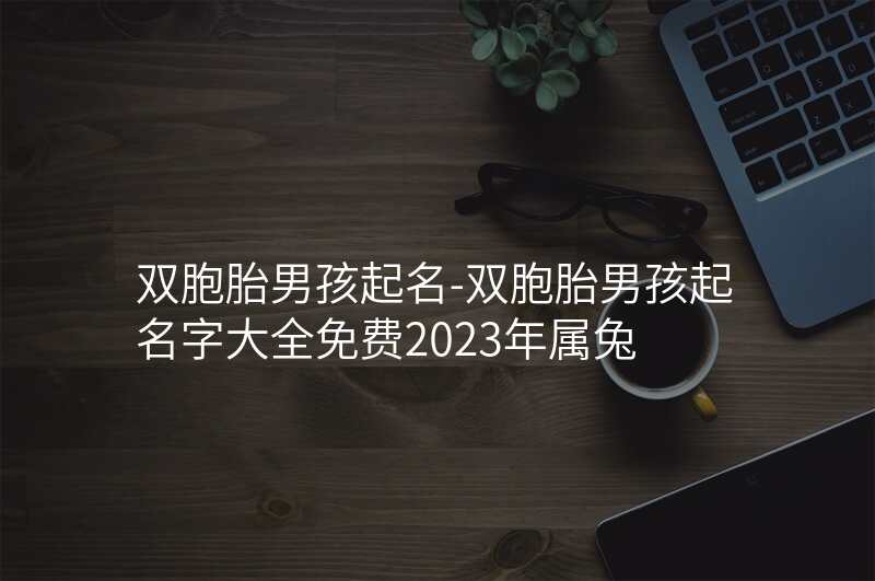 双胞胎男孩起名-双胞胎男孩起名字大全免费2023年属兔
