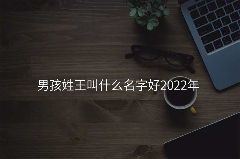 男孩姓王叫什么名字好2022年