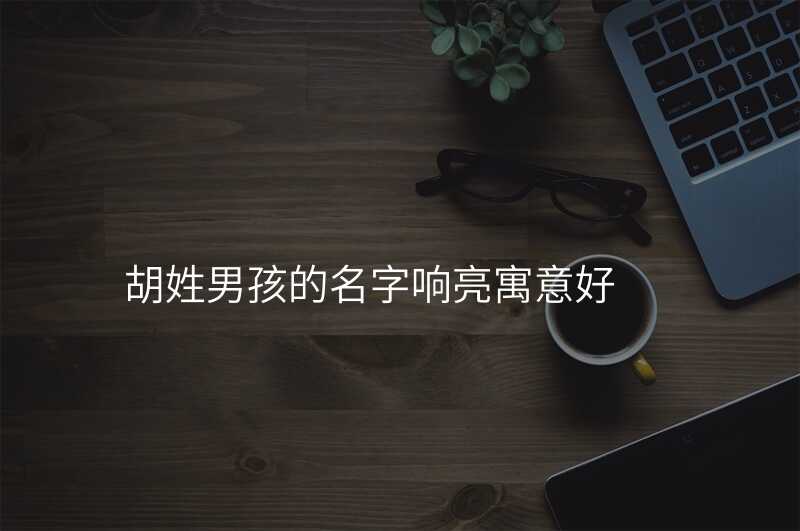 胡姓男孩的名字响亮寓意好