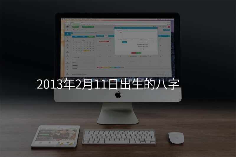 2013年2月11日出生的八字